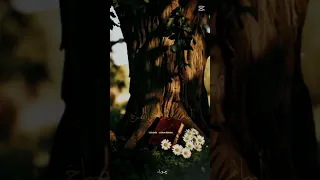 ألا يا كوكبا بالليل لاح 