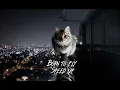 Born to fly - SPEED UP