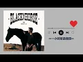 李榮浩Ronghao Li《黑馬Black Horse》｜♾️一小時單曲循環播放1 Hour Loop♾️