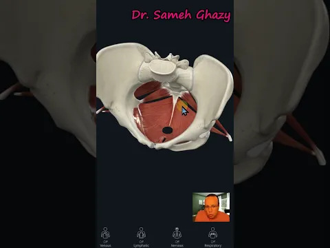 تمرين كيجل بطريقة صحيحة