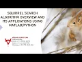 SQUIRREL SEARCH ALGORITHM OVERVIEW AND ITS APPLICATIONS USING MATLAB-PYTHON