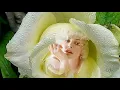 Download Lagu *** - SERGEY GRISCHUK -  You and Me  - ***
