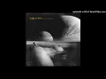 Leon Larregui - Brillas  (Audio) (5.1 Surround)