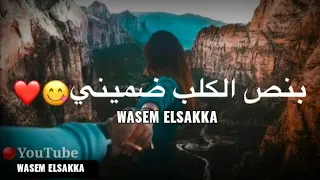 ياسر عبد الوهاب   شيليني ولميني     تخبل دندنها