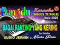 Download Lagu Bagai Ranting Yang Kering - Iis Dahlia || Karaoke Dangdut (Nada Pria) Audio Jernih