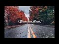 Download Lagu Backsound puisi SEDIH (No Copyright )