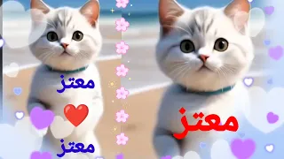 معتز زيزو قلبى ياناس اغنية باسم معتز ميزو اغنيه بأسم معتز اسم معتز معتز اسم معتز القطة معتز 