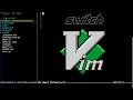 Switch vim