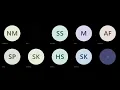 AO Star Program in Python