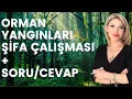 Download Lagu Orman Yangınları Şifa Çalışması + Soru/Cevap