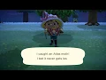 How to Catch an Atlas Moth | Animal Crossing New Horizons