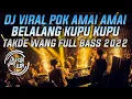 Download Lagu DJ POK AMAI AMAI BELALANG KUPU KUPU ( TAKDE WANG ) BREAKBEAT VIRAL INDO 2022 [ AriiaLdyTM]