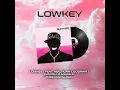 Download Lagu Lowkey  ( Syamello Mashup ) Feat. Heil Nuan \u0026 Lucidrari