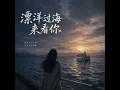 漂洋过海来看你