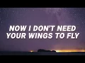 Download Lagu Cash Cash -  Now i don't need your wings to fly (Hero) (Lyrics) feat. Christina Perri