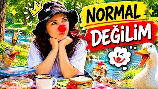 Normal Diilim! Dobişko Tv