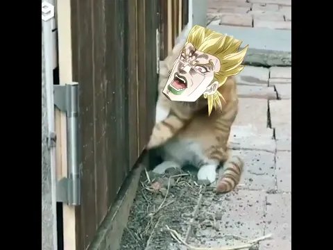 DIO VS Chicken