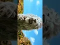 Download Lagu MUFASA THE LION KING ♔ NICE MOVEMENT |#foryou #shorts #trending #viralshort #marvel #edit #mufasa