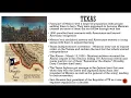 Chapter 13 with narration