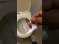 Download Lagu OMG! Roach Prank in Public! - orzutiextra funny TikTok ! #shorts