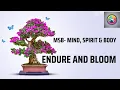 Download Lagu Gaman: Building Resilience in Tough Times | Key to Emotional Maturity | MSB Japanese Concepts