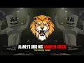 Download Lagu Alameyo ( UniQ Mix ) - Mangesh \u0026 Hrushi
