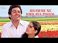Download Lagu Bhanware Ne Khilaaya Phool 4k ❤| Prem Rog | Rishi Kapoor, Padmini Kolhapure | Suresh Wadkar, Lata Ji