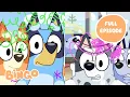 Faceytalk Chaos with Bingo Bluey Full Episode Bingo - Channel