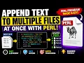 Perl Program Append Text to Multiple Files at Once Batch File Editing Tutorial 2026
