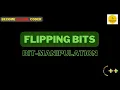 Flipping Bits Bit-Manipulation Easy - 03 Explained Solution