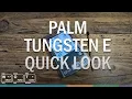 Palm Tungsten E - Quick Look