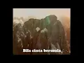 Download Lagu Rajawali - Pohon Cinta Berduri