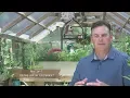 Greenhouse Buyer Questions Yoderbilt FAQ How do I prepare the spot for my greenhouse