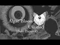 Download Lagu Algae Bloom - Untitled [Sub. Español] MP3