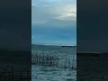 PANGUILBAY BRIDGE HAYAG KAAYU!!