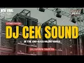 Download Lagu DJ CEK SOUND ‼️ DJ IN THE END BASS PALING HOREG TERBARU 2025 ‼️