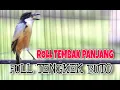 Download Lagu MASTERAN CENDET SPESIAL FULL ROLL TEMBAKAN TENGKEK BUTO MEWAH PANJANG KEKINIAN