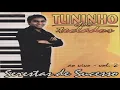 Download Lagu TUNINHO DOS TECLADOS SERESTA AO VIVO