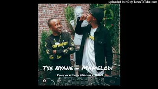 tse nyane full track mamelodi bacardi amapiano 