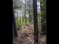 NEW LISTING R 3 155685 Miles Road Lufkin TX 75901