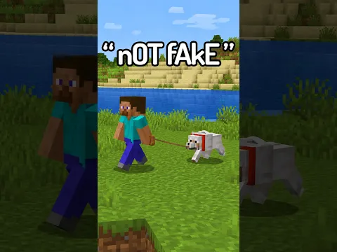 I Caught The STUPIDEST Fake Minecraft Speedrun!