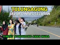 Lagu Viral Jalur Lintas Selatan Tulungagung Tempat Nongkrong Anak Muda