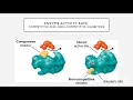 BIO 205 - Chapter 8