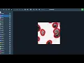 Annotation Instructions for MIBI Images with Guided Segmentation
