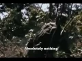Edwin Starr - War (w/lyrics + Vietnam War footage)