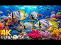 Download Lagu Marvel at Sea Animal in The Best 4K ULTRA HD Aquarium-Dive Into The Mesmerizing Underwater Realm #39