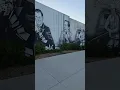 Walking through Downtown Norfolk NE