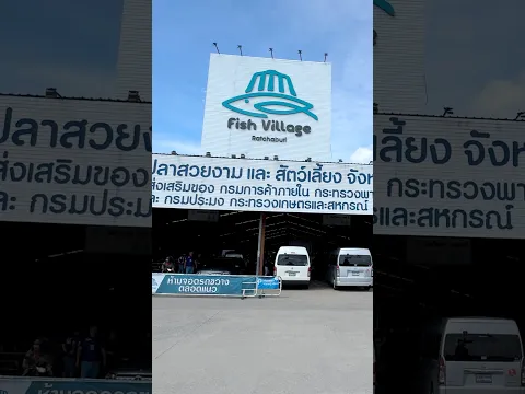 Thailand Aquarium Fish Market❤️🥳#thailand #fish #fishkeepinghobby #reels #aquarium #fishtank #guppy