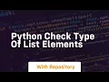 python check type of list elements