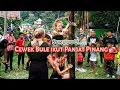 Download Lagu Gadis Bule ikutan Panjat Pinang